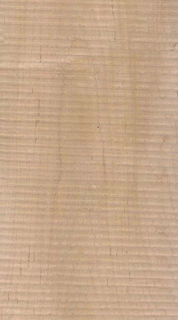 樺木的芯材顏色是淡紅棕色，邊材顏色近白色，板面寬且?guī)в暗哪酒な袌?chǎng)價(jià)格良好，紋理通常是直紋和波浪紋，質(zhì)地均勻，板面有很好的自然光澤度。.webp.jpg